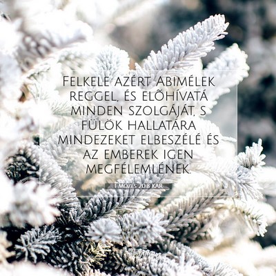 Picture 07 - 1 Mózes 20:8 KAR - Felkele azért Abimélek reggel, és elõhívatá - Bible Verse Picture