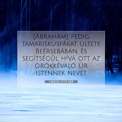 Picture 07 - 1 Mózes 21:33 KAR - [Ábrahám] pedig tamariskusfákat ültete - Bible Verse Picture
