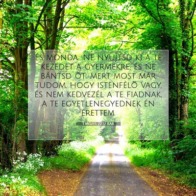 Picture 07 - 1 Mózes 22:12 KAR - És monda: Ne nyujtsd ki a te kezedet a - Bible Verse Picture