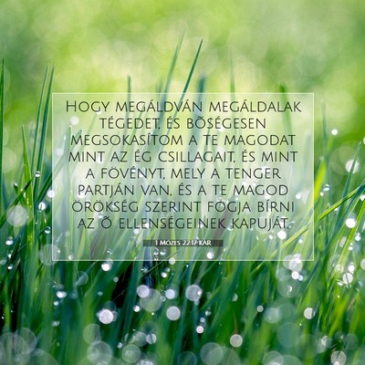 Picture 07 - 1 Mózes 22:17 KAR - Hogy megáldván megáldalak tégedet, és - Bible Verse Picture