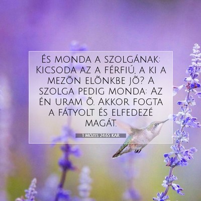 Picture 07 - 1 Mózes 24:65 KAR - És monda a szolgának: Kicsoda az a férfiú, a - Bible Verse Picture