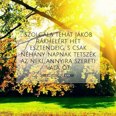 Picture 07 - 1 Mózes 29:20 KAR - Szolgála tehát Jákób Rákhelért hét - Bible Verse Picture