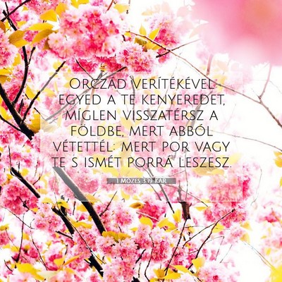 Picture 07 - 1 Mózes 3:19 KAR - Orczád verítékével egyed a te kenyeredet, - Bible Verse Picture