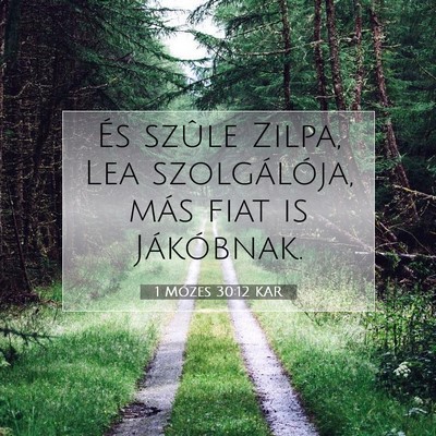 Picture 07 - 1 Mózes 30:12 KAR - És szûle Zilpa, Lea szolgálója, más fiat is - Bible Verse Picture