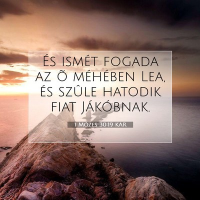 Picture 07 - 1 Mózes 30:19 KAR - És ismét fogada az õ méhében Lea, és szûle - Bible Verse Picture