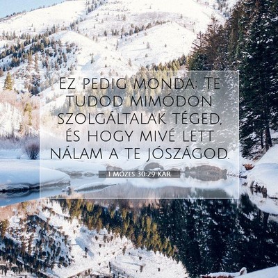 Picture 07 - 1 Mózes 30:29 KAR - Ez pedig monda: Te tudod mimódon szolgáltalak - Bible Verse Picture