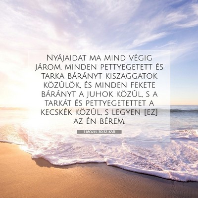 Picture 07 - 1 Mózes 30:32 KAR - Nyájaidat ma mind végig járom, minden - Bible Verse Picture