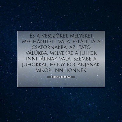Picture 07 - 1 Mózes 30:38 KAR - És a vesszõket, melyeket meghántott vala, - Bible Verse Picture