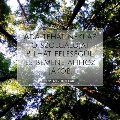 Picture 07 - 1 Mózes 30:4 KAR - Adá tehát néki az õ szolgálóját Bilhát - Bible Verse Picture