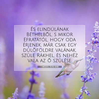 Picture 07 - 1 Mózes 35:16 KAR - És elindúlának Béthelbõl, s mikor - Bible Verse Picture