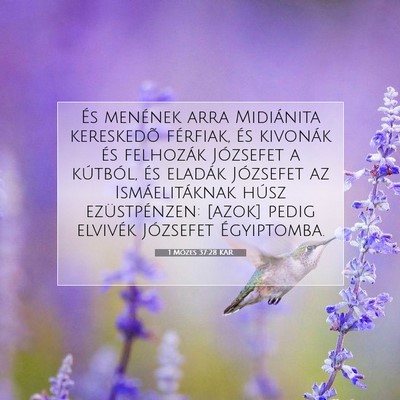 Picture 07 - 1 Mózes 37:28 KAR - És menének arra Midiánita kereskedõ férfiak, - Bible Verse Picture