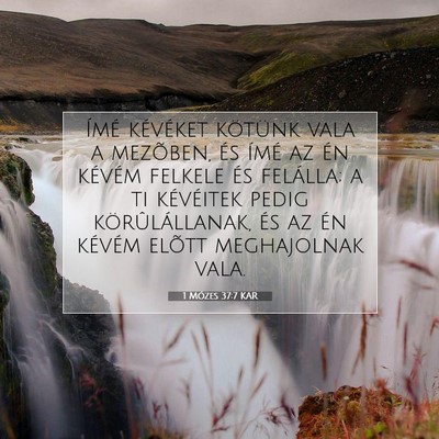 Picture 07 - 1 Mózes 37:7 KAR - Ímé kévéket kötünk vala a mezõben, és - Bible Verse Picture