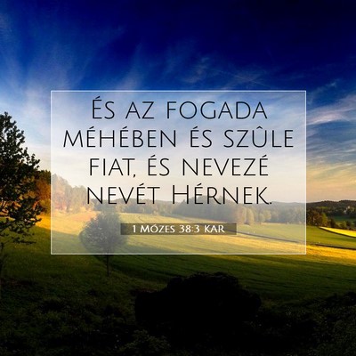Picture 07 - 1 Mózes 38:3 KAR - És az fogada méhében és szûle fiat, és - Bible Verse Picture