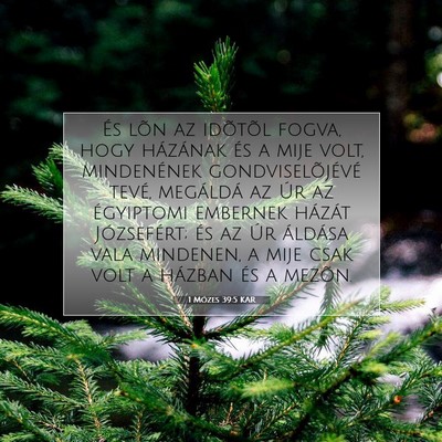 Picture 07 - 1 Mózes 39:5 KAR - És lõn az idõtõl fogva, hogy házának és a - Bible Verse Picture
