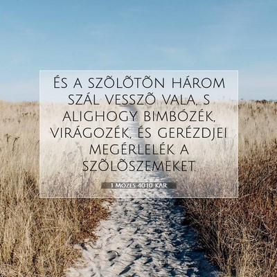 Picture 07 - 1 Mózes 40:10 KAR - És a szõlõtõn három szál vesszõ vala, s - Bible Verse Picture
