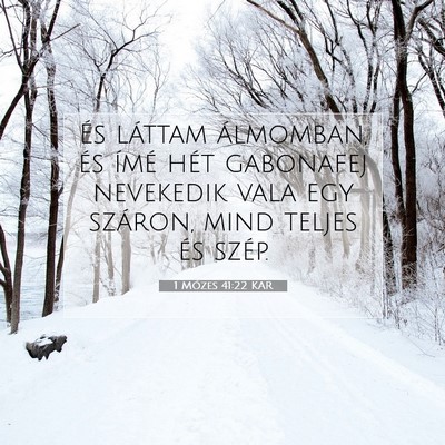 Picture 07 - 1 Mózes 41:22 KAR - És láttam álmomban, és ímé hét gabonafej - Bible Verse Picture