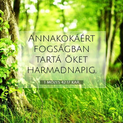 Picture 07 - 1 Mózes 42:17 KAR - Annakokáért fogságban tartá õket - Bible Verse Picture