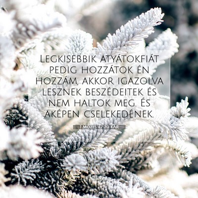 Picture 07 - 1 Mózes 42:20 KAR - Legkisebbik atyátokfiát pedig hozzátok én - Bible Verse Picture