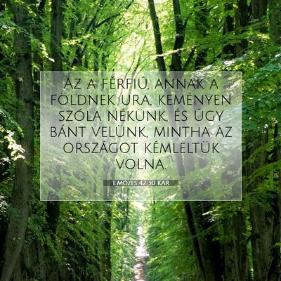 Picture 07 - 1 Mózes 42:30 KAR - Az a férfiú, annak a földnek ura, keményen - Bible Verse Picture