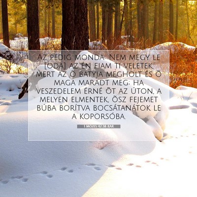 Picture 07 - 1 Mózes 42:38 KAR - Az pedig monda: Nem megy le [oda] az én fiam ti - Bible Verse Picture
