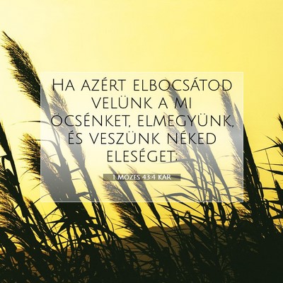Picture 07 - 1 Mózes 43:4 KAR - Ha azért elbocsátod velünk a mi öcsénket, - Bible Verse Picture