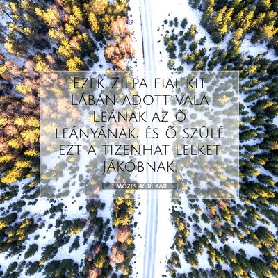 Picture 07 - 1 Mózes 46:18 KAR - Ezek Zilpa fiai, kit Lábán adott vala Leának - Bible Verse Picture