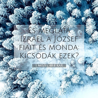 Picture 07 - 1 Mózes 48:8 KAR - És meglátá Izráel a József fiait és monda: - Bible Verse Picture
