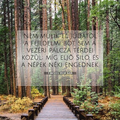Picture 07 - 1 Mózes 49:10 KAR - Nem múlik el Júdától a fejedelmi bot, sem a - Bible Verse Picture