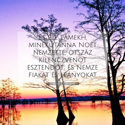 Picture 07 - 1 Mózes 5:30 KAR - És éle Lámekh, minekutánna Noét nemzette, - Bible Verse Picture