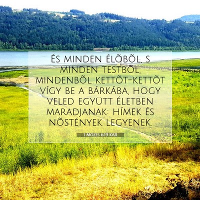 Picture 07 - 1 Mózes 6:19 KAR - És minden élõbõl, s minden testbõl, - Bible Verse Picture
