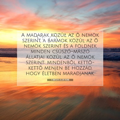 Picture 07 - 1 Mózes 6:20 KAR - A madarak közûl az õ nemök szerint, a barmok - Bible Verse Picture