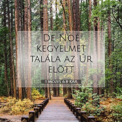 Picture 07 - 1 Mózes 6:8 KAR - De Noé kegyelmet talála az Úr - Bible Verse Picture