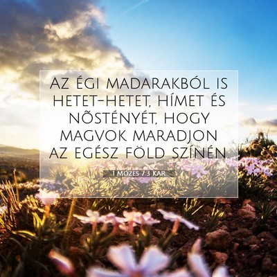 Picture 07 - 1 Mózes 7:3 KAR - Az égi madarakból is hetet-hetet, hímet és - Bible Verse Picture