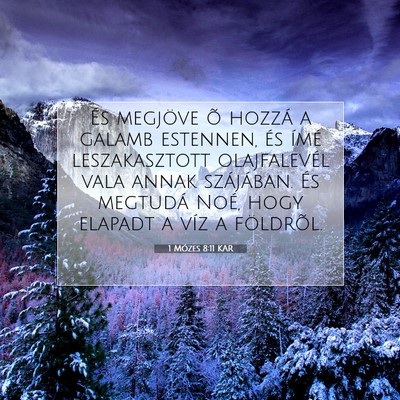Picture 07 - 1 Mózes 8:11 KAR - És megjöve õ hozzá a galamb estennen, és - Bible Verse Picture