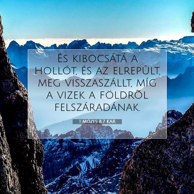 Picture 07 - 1 Mózes 8:7 KAR - És kibocsátá a hollót, és az elrepûlt, meg - Bible Verse Picture