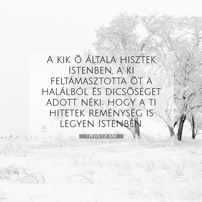 Picture 07 - 1 Péter 1:21 KAR - A kik õ általa hisztek Istenben, a ki - Bible Verse Picture