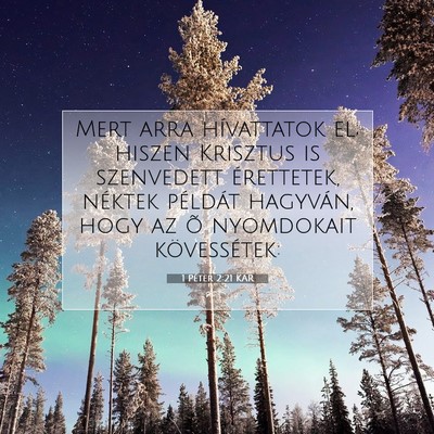 Picture 07 - 1 Péter 2:21 KAR - Mert arra hívattatok el; hiszen Krisztus is - Bible Verse Picture