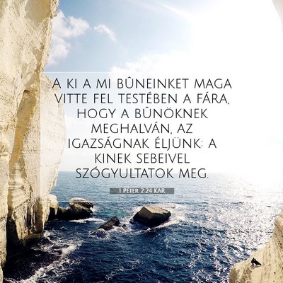 Picture 07 - 1 Péter 2:24 KAR - A ki a mi bûneinket maga vitte fel testében a - Bible Verse Picture