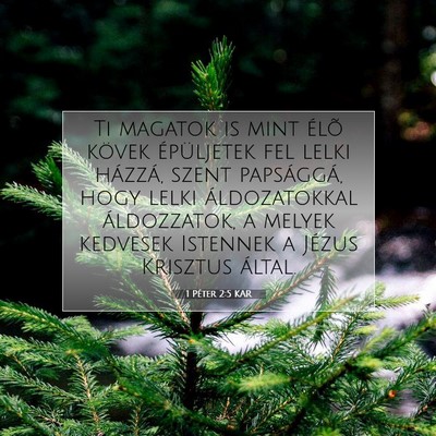 Picture 07 - 1 Péter 2:5 KAR - Ti magatok is mint élõ kövek épüljetek fel - Bible Verse Picture