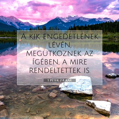 Picture 07 - 1 Péter 2:8 KAR - A kik engedetlenek lévén, megütköznek az - Bible Verse Picture