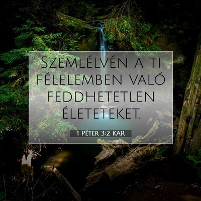 Picture 07 - 1 Péter 3:2 KAR - Szemlélvén a ti félelemben való feddhetetlen - Bible Verse Picture