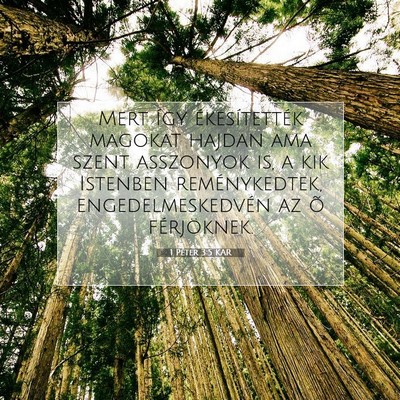 Picture 07 - 1 Péter 3:5 KAR - Mert így ékesítették magokat hajdan ama szent - Bible Verse Picture