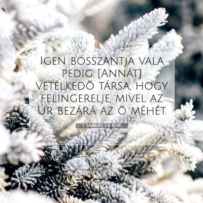Picture 07 - 1 Sámuel 1:6 KAR - Igen bosszantja vala pedig [Annát] vetélkedõ - Bible Verse Picture