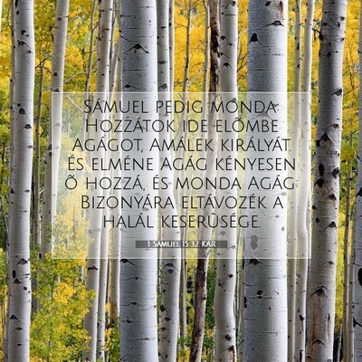 Picture 07 - 1 Sámuel 15:32 KAR - Sámuel pedig monda: Hozzátok ide elõmbe - Bible Verse Picture