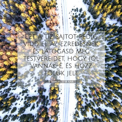 Picture 07 - 1 Sámuel 17:18 KAR - Ezt a tíz sajtot pedig vidd el az ezredesnek, - Bible Verse Picture