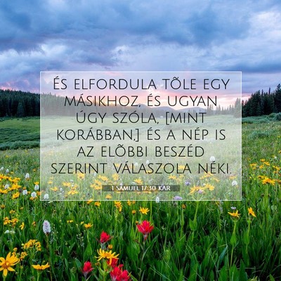 Picture 07 - 1 Sámuel 17:30 KAR - És elfordula tõle egy másikhoz, és ugyan úgy - Bible Verse Picture