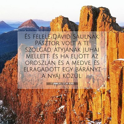 Picture 07 - 1 Sámuel 17:34 KAR - És felele Dávid Saulnak: Pásztor volt a te - Bible Verse Picture