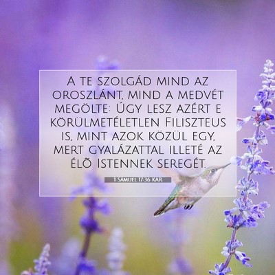 Picture 07 - 1 Sámuel 17:36 KAR - A te szolgád mind az oroszlánt, mind a medvét - Bible Verse Picture