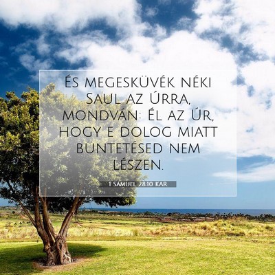Picture 07 - 1 Sámuel 28:10 KAR - És megesküvék néki Saul az Úrra, mondván: - Bible Verse Picture