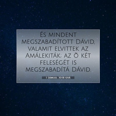 Picture 07 - 1 Sámuel 30:18 KAR - És mindent megszabadított Dávid, valamit - Bible Verse Picture